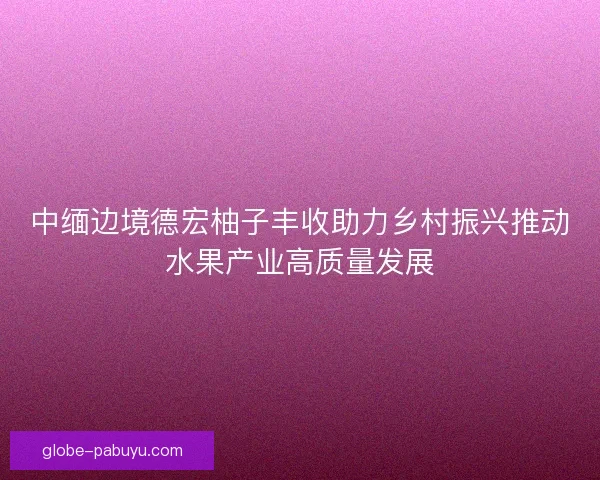中缅边境德宏柚子丰收助力乡村振兴推动水果产业高质量发展